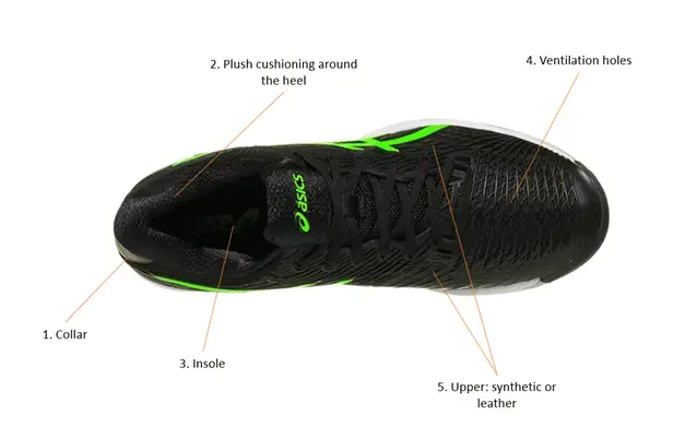 anatomy of tennis shoe